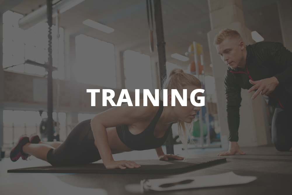 Champion Online Training - Champion Physical Therapy and Performance